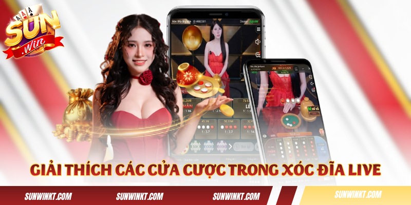 Giải thích chi tiết các cửa cược trong Xóc Đĩa Live