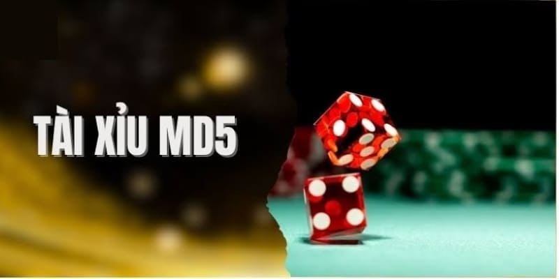 Tài Xỉu MD5 bảo đảm minh bạch tuyệt đối nhờ công nghệ mã hóa kết quả công khai.