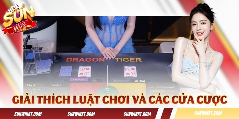 Giải thích luật chơi và nội dung của các cửa cược