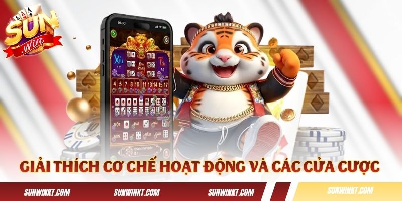 Giải thích cơ chế hoạt động và các cửa cược trong game