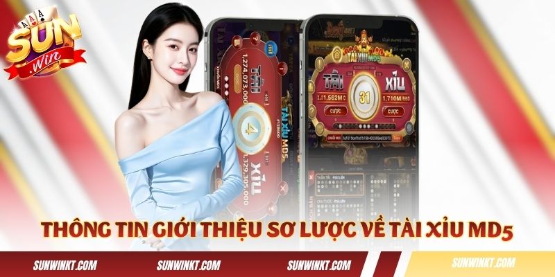 Thông tin giới thiệu sơ lược về Tài Xỉu MD5