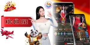 Xóc Đĩa Live Khác Gì Phiên Bản Thường? Tìm Hiểu Ngay