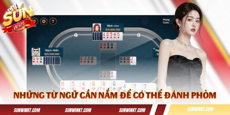 Những từ ngữ cần nắm để có thể đánh Phỏm
